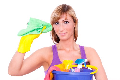 Professional pet stain odour removal in a Holland Park living room