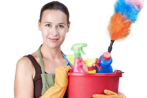 Professional carpet cleaning in a Holland Park home
