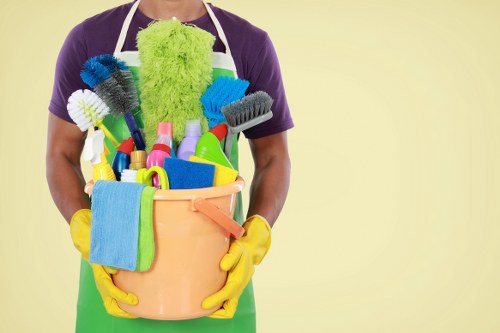 SSL encryption protecting Holland Park Carpet Cleaners payments