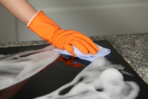 Steam carpet cleaning service in Holland Park refreshing a living room carpet