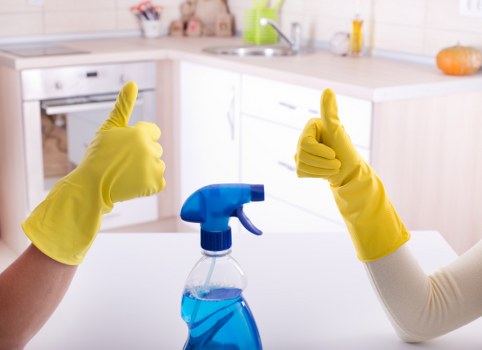 Secure checkout confirmation for Holland Park Carpet Cleaners