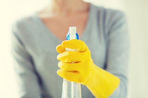 Preventing and treating household stains in Holland Park