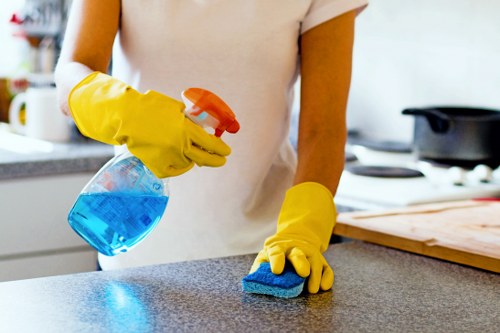 Deep extraction process for pet stain odour removal