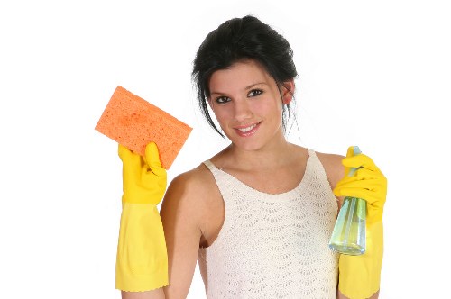 Professional steam cleaning removing dirt and allergens from a carpet