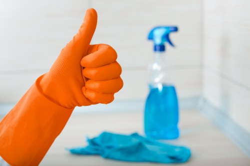 Professional mattress stain removal and deep cleaning in Holland Park home