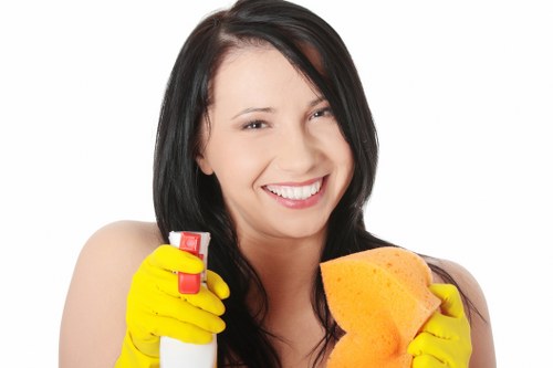 Documented review of a carpet cleaning issue