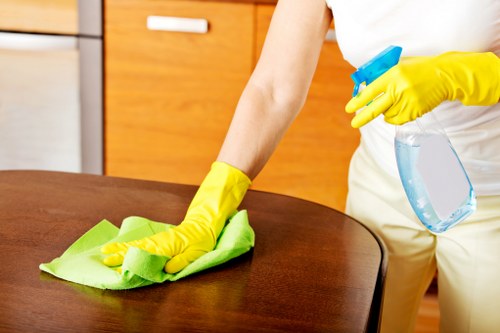 Waste handling and disposal materials collected after a cleaning service